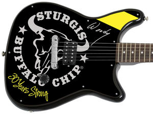 The Epiphone Coronet